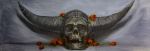 skullwithhorns