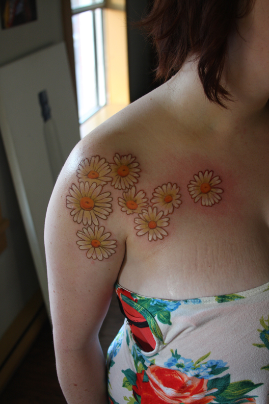 Daisies