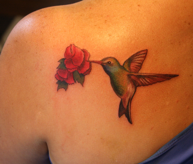 Hummingbird