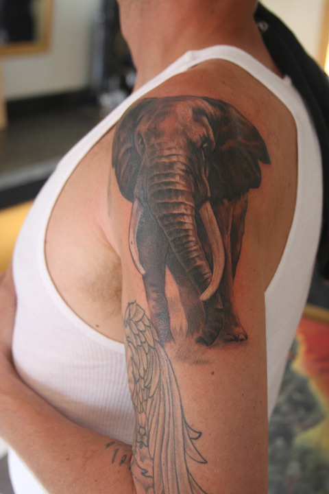 Elephant1